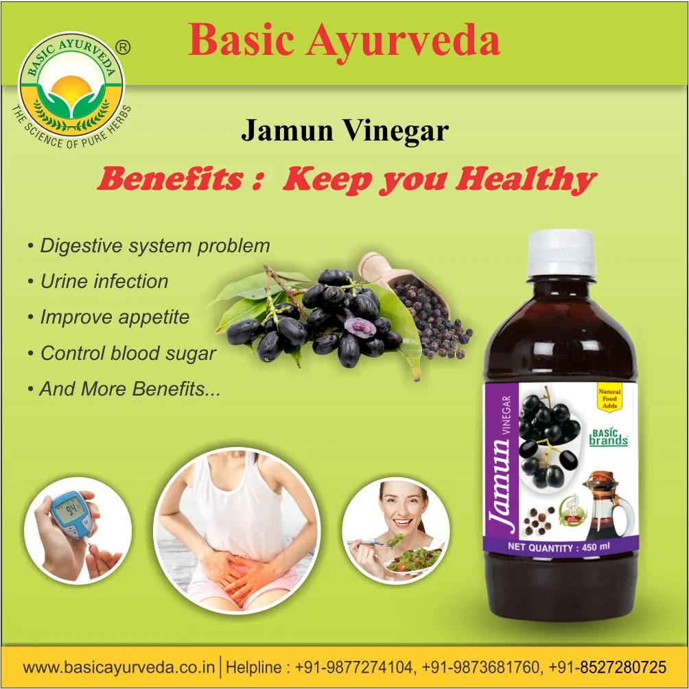 Basic Ayurveda Jamun Vinegar | Natural Fermented Sirka | Digestive & Blood Sugar Support-7