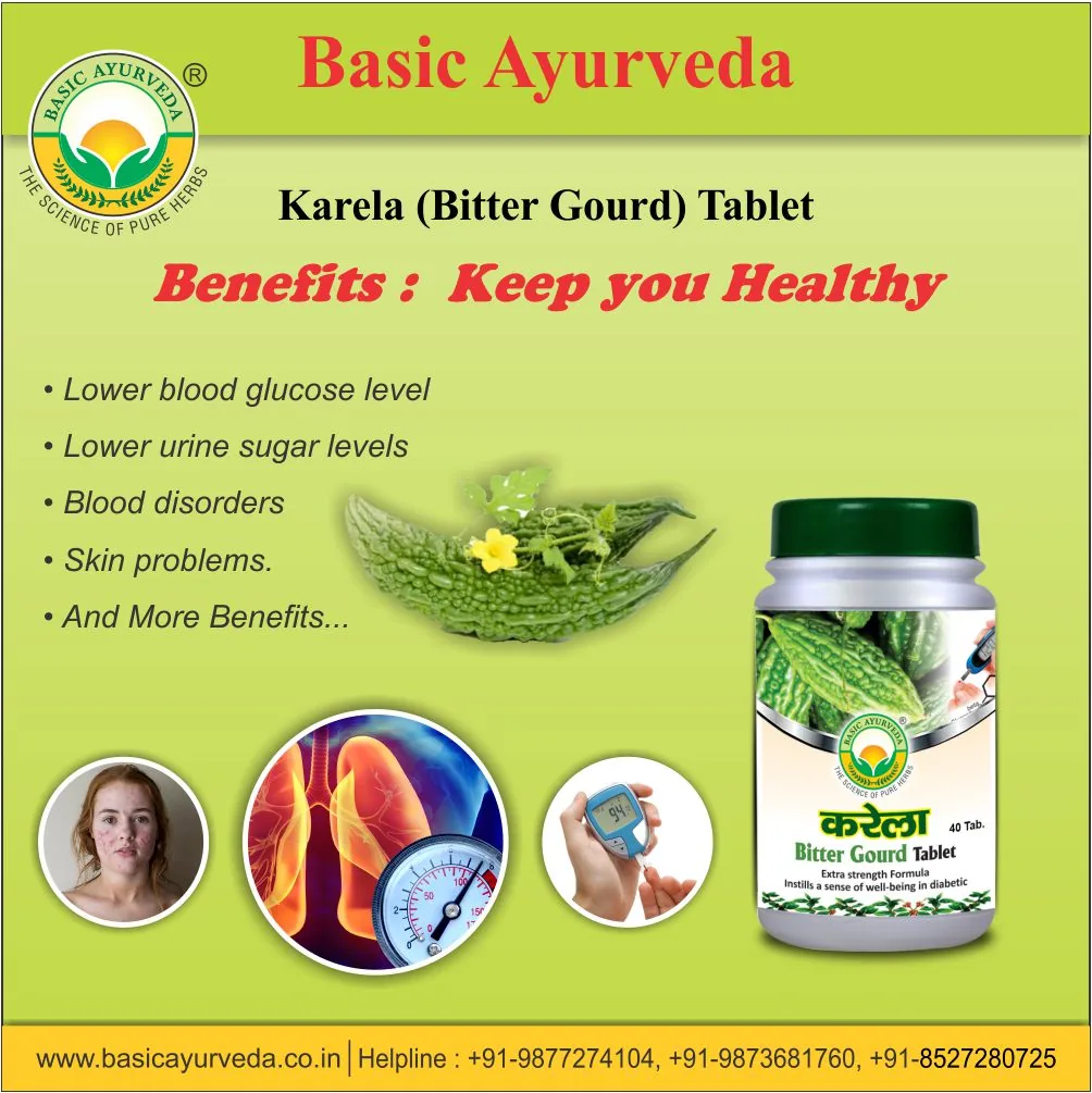 Basic Ayurveda Karela Bitter Gourd Tablet | Ayurvedic Blood Sugar Support | Natural Metabolism Booster-3