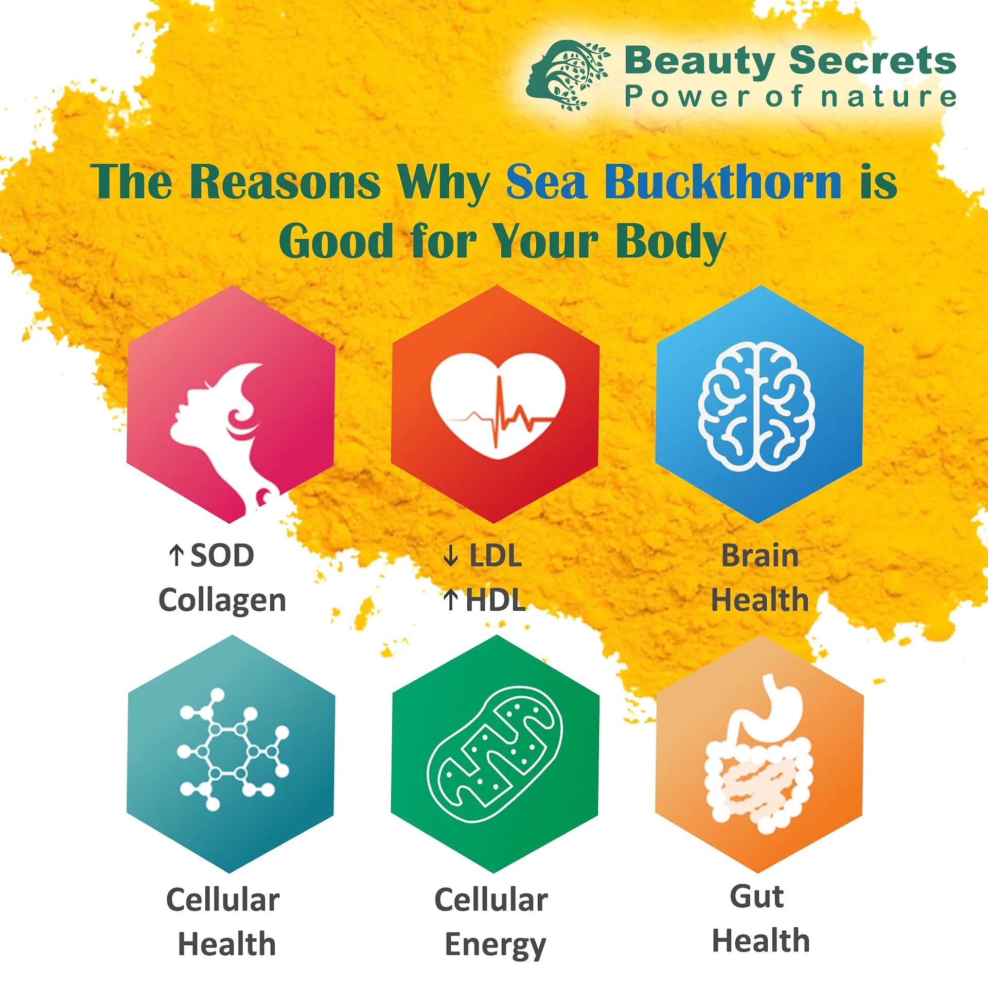 Beauty Secrets Himalayan Sea Buckthorn Capsules | High Potency Omega-7 Supplement | Skin & Immune Support-3