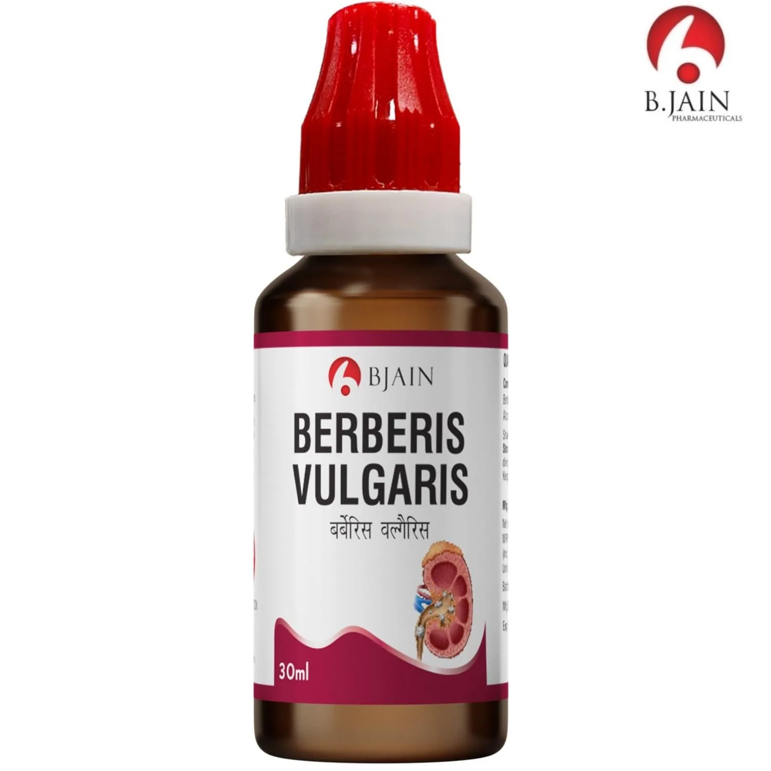 Bjain Homeopathy Berberis Vulgaris Drops | Homeopathic Single Remedy | Renal and Biliary Colic Support-2