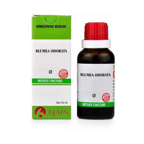 Bjain Homeopathy Blumea Odorata Q Mother Tincture | Natural Hemorrhage and Respiratory Support-1