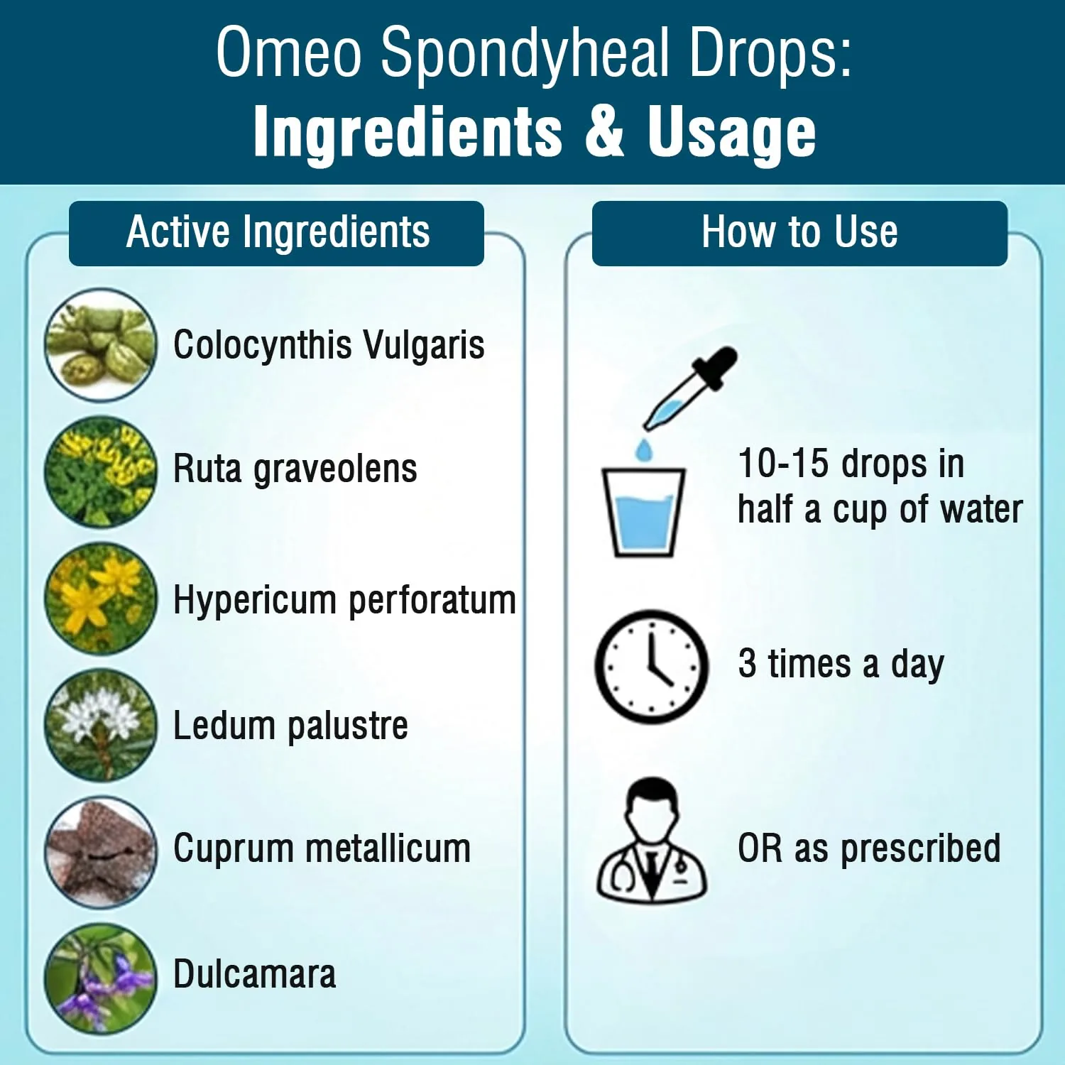 Bjain Homeopathy Omeo Spondyheal Drops | Homeopathic Remedy | Neck and Back Stiffness Relief-4