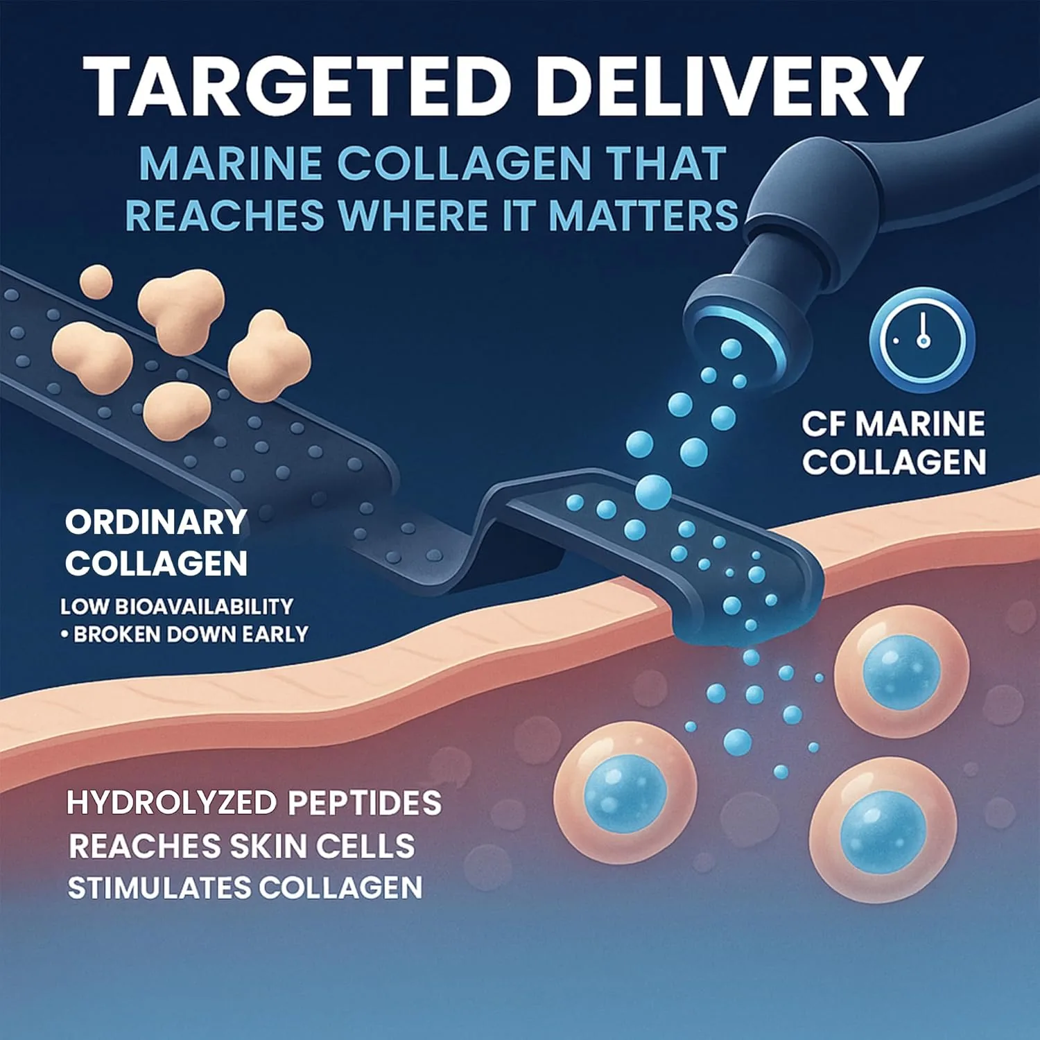 Carbamide Forte Hydrolyzed Marine Collagen Tablets | Type 1 Peptides with Hyaluronic Acid | Skin, Hair & Nails Support-6