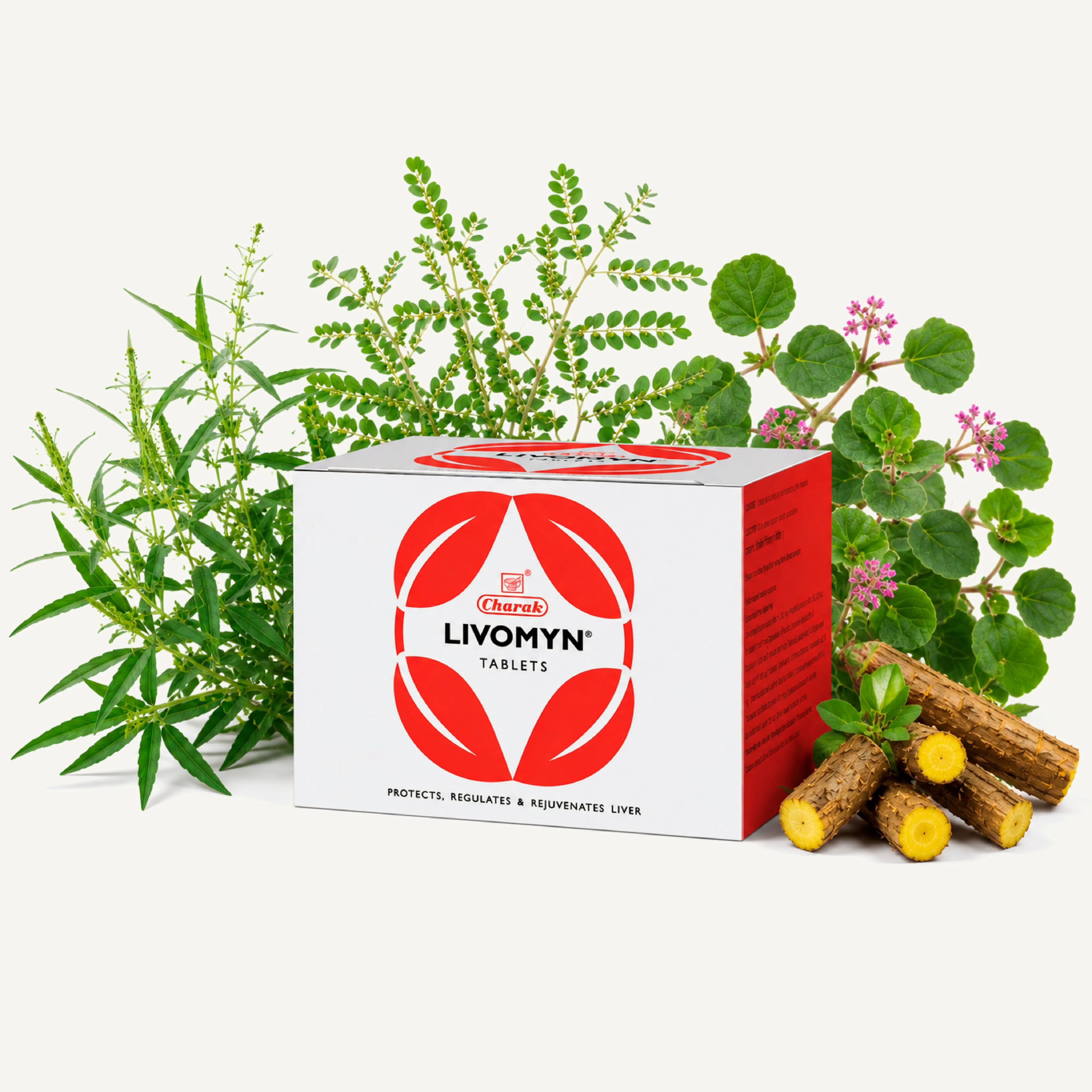 Charak Pharma Livomyn Tablets | Ayurvedic Liver Support | Natural Detoxification & Digestion-1