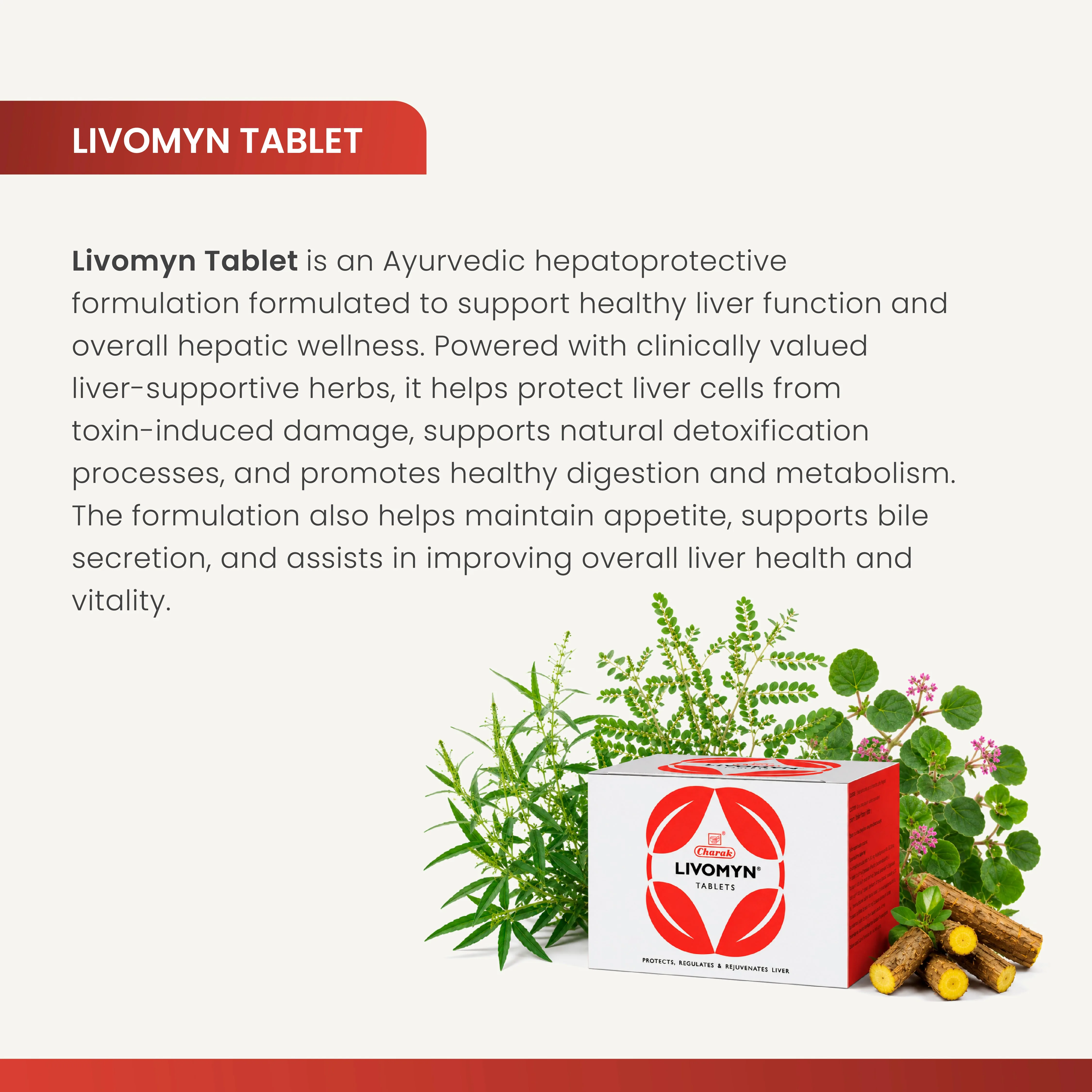 Charak Pharma Livomyn Tablets | Ayurvedic Liver Support | Natural Detoxification & Digestion-3