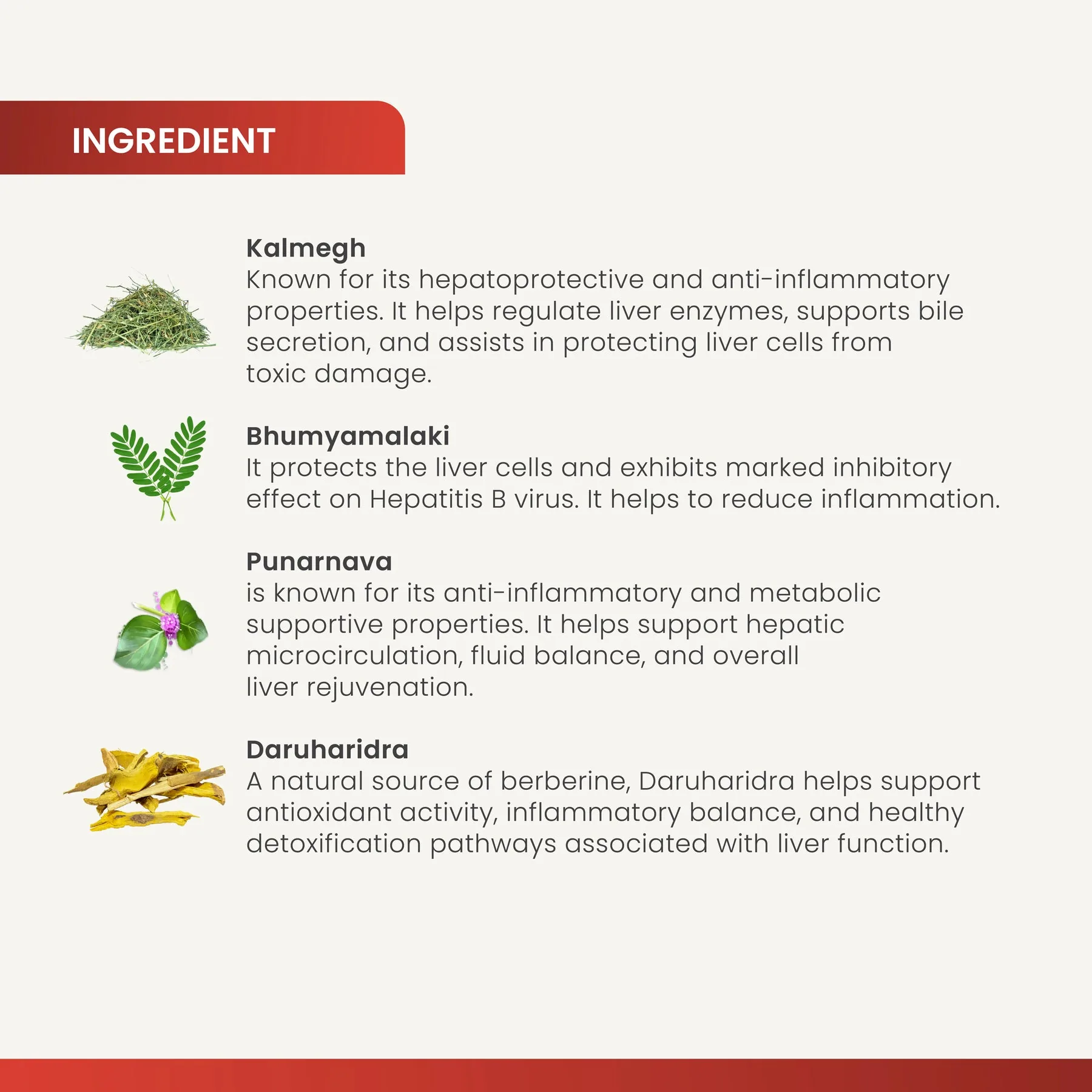 Charak Pharma Livomyn Tablets | Ayurvedic Liver Support | Natural Detoxification & Digestion-5
