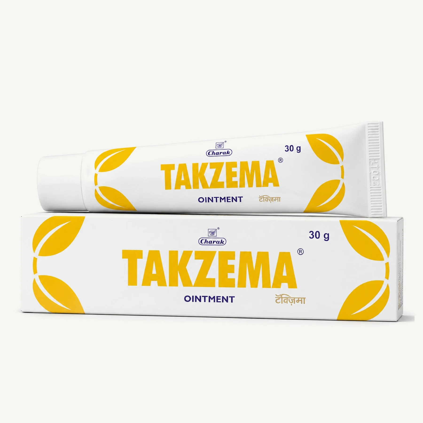 Charak Pharma Takzema Ointment | Ayurvedic Skin Care | Soothes Minor Irritations-1