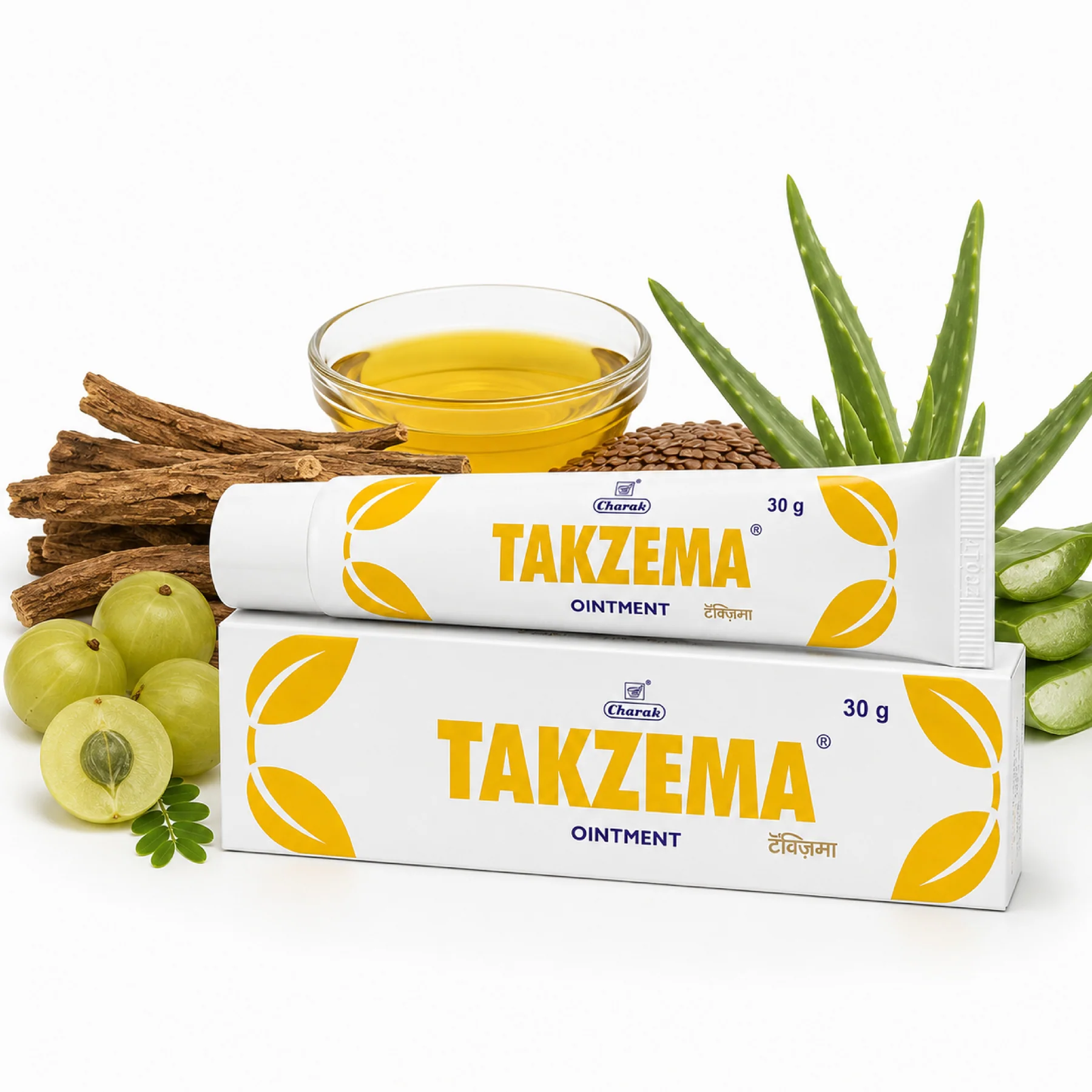 Charak Pharma Takzema Ointment | Ayurvedic Skin Care | Soothes Minor Irritations-2
