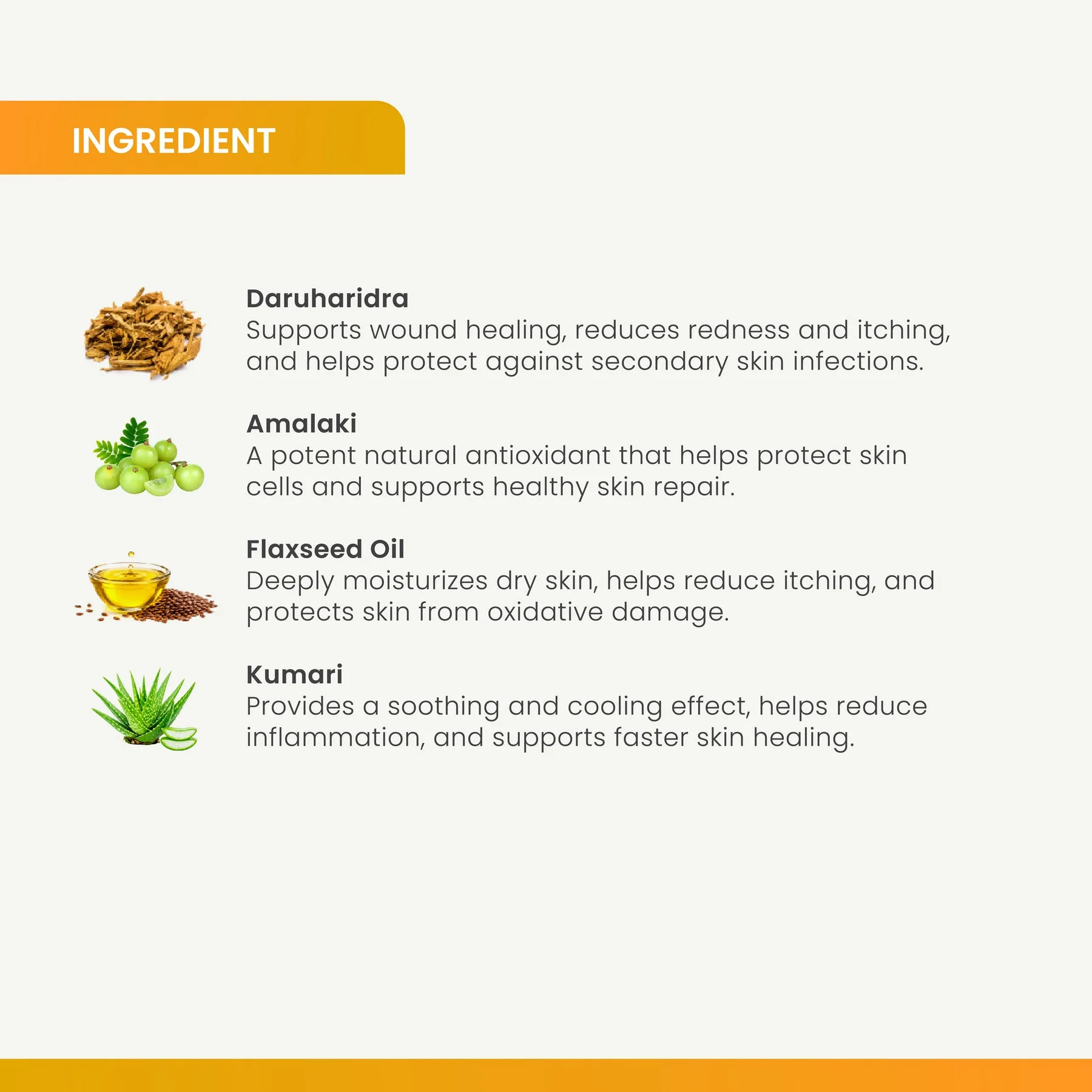 Charak Pharma Takzema Ointment | Ayurvedic Skin Care | Soothes Minor Irritations-5