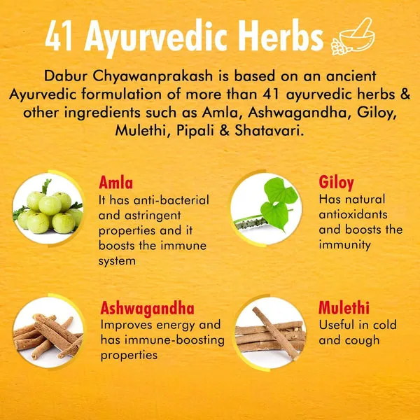 Dabur Chyawanprakash Sugar Free | Ayurvedic Immunity Booster | Safe for Diabetics-5
