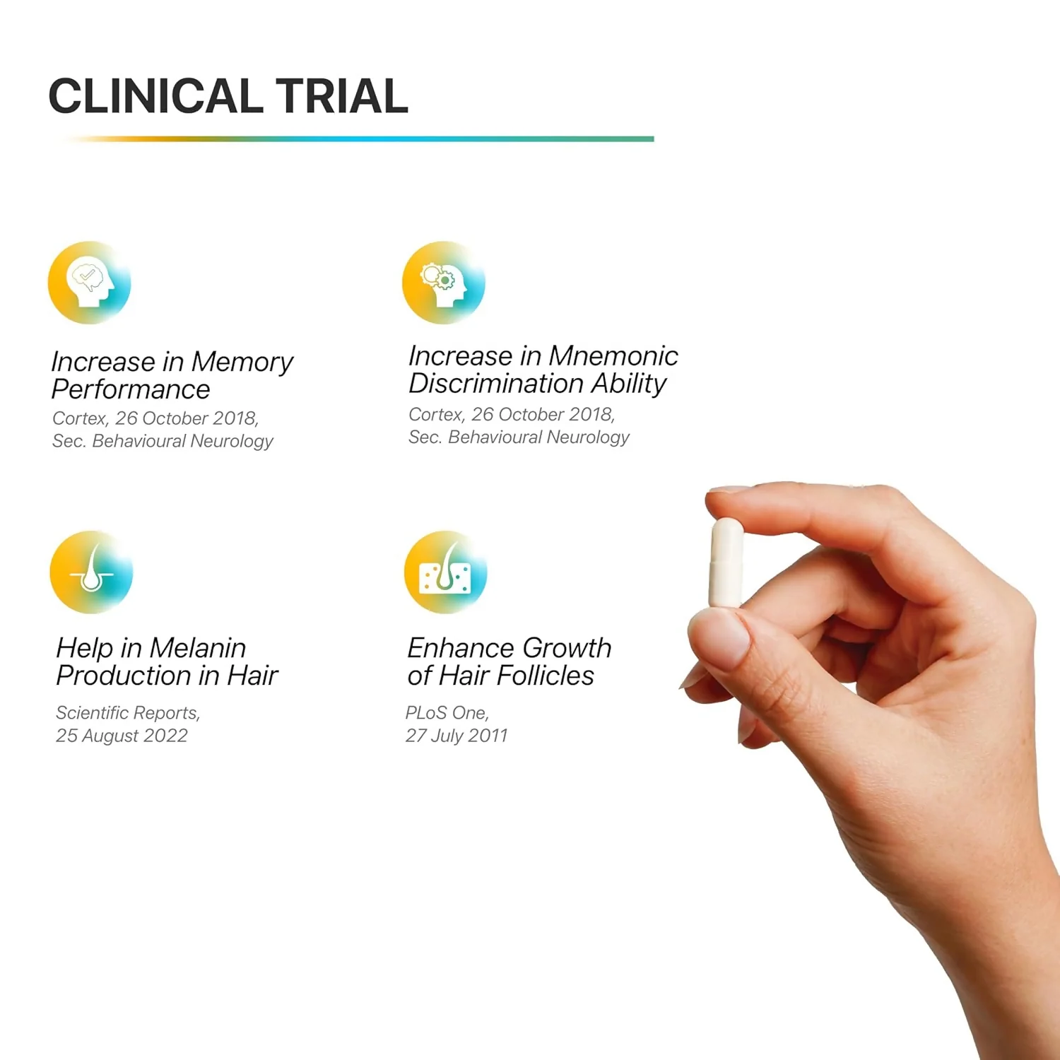 Decode Age 98% Spermidine Trihydrochloride Capsules | Cellular Renewal Supplement | Healthy Aging & Autophagy Support-5