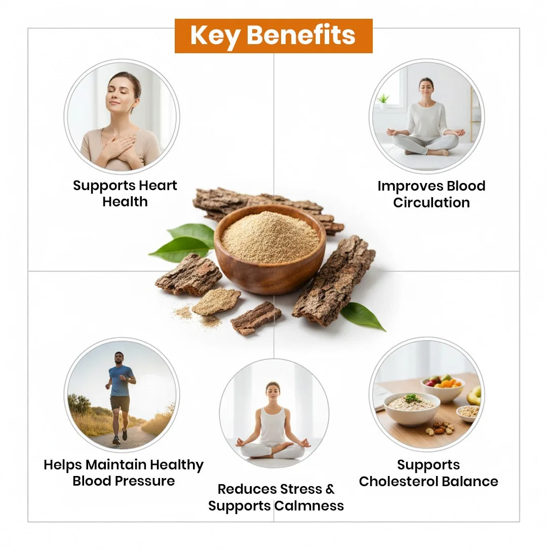 Deep Ayurveda Organic Arjuna Bark Powder | Pure Terminalia Arjuna Churna | Traditional Cardiovascular & Circulatory Support-3
