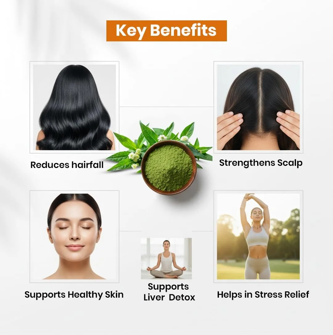 Deep Ayurveda Organic Bhringraj Powder | Pure Eclipta Alba | Traditional Hair & Scalp Care-3