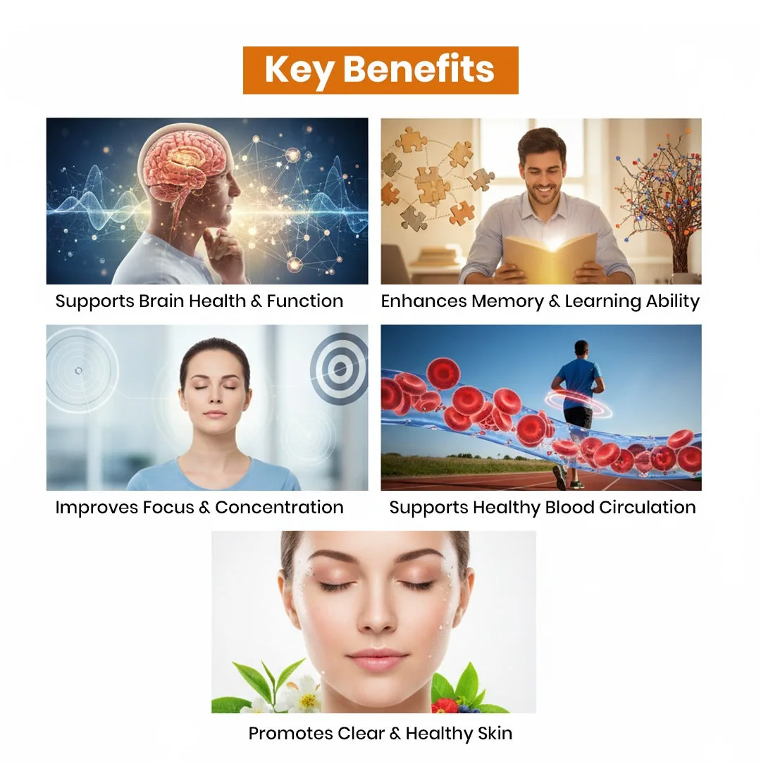 Deep Ayurveda Organic Gotukola Powder | Pure Centella Asiatica | Natural Cognitive & Memory Support-5