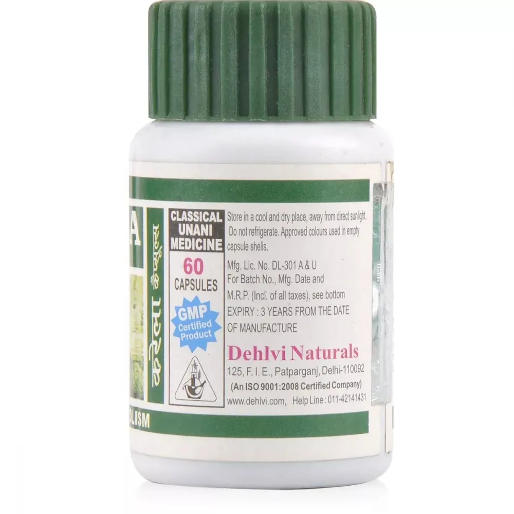Dehlvi Bitter Melon Karela Capsules | Ayurvedic Blood Sugar Support | Pure Momordica Charantia Extract-2