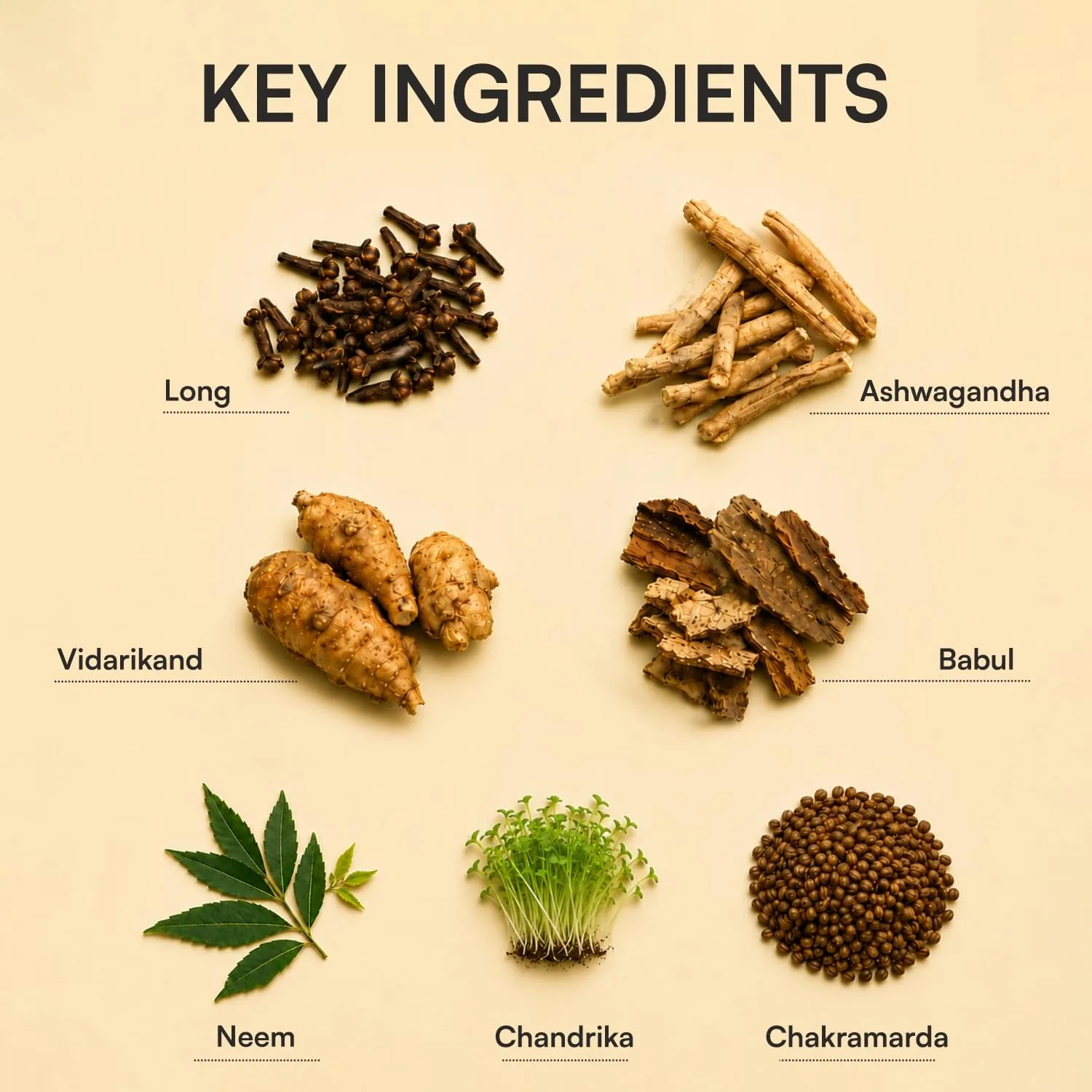 Dharmani's International Long Looks Ayurvedic Capsules | Natural Growth & Bone Strength Support | Traditional Herbal Formula-5