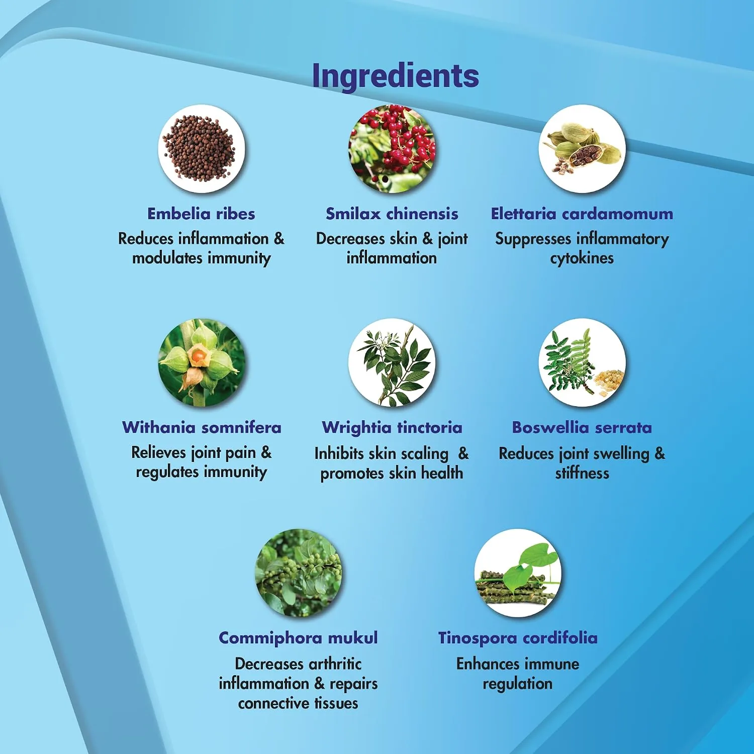 Dr. JRK's Aipro Tablet | Natural Immune Modulator | Chronic Skin & Inflammation Support-5