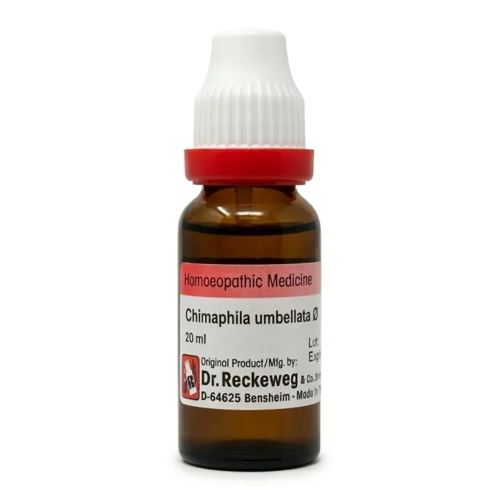 Dr. Reckeweg Chimaphila Mother Tincture Q | Homeopathic Urinary Care | Natural Genito-Urinary Support-1