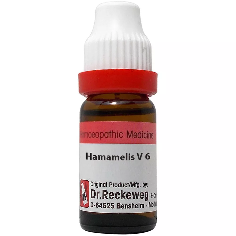 Dr. Reckeweg Hamamelis Virginica Dilution | Homeopathic Remedy | Venous and Circulatory Comfort-1