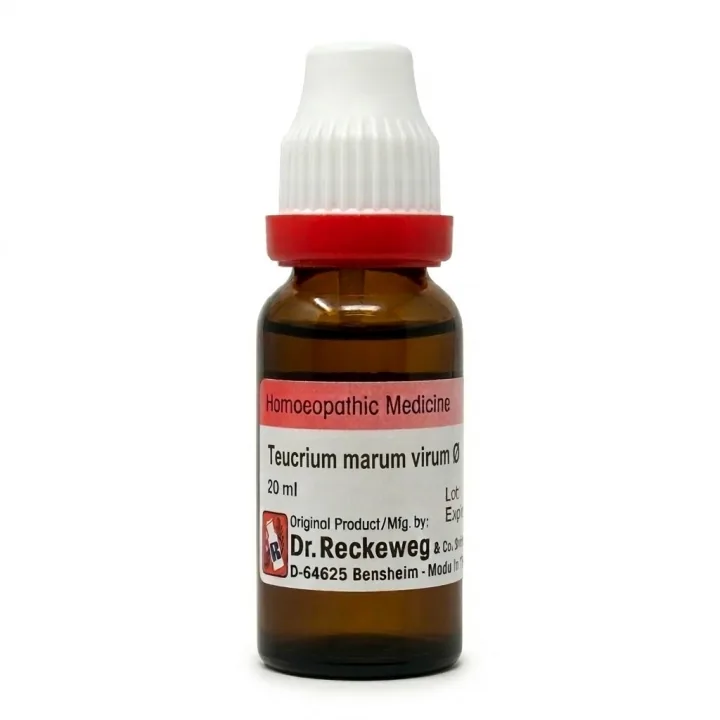 Dr. Reckeweg Teucrium M V Mother Tincture Q | Homeopathic Remedy | Nasal & Respiratory Support-1