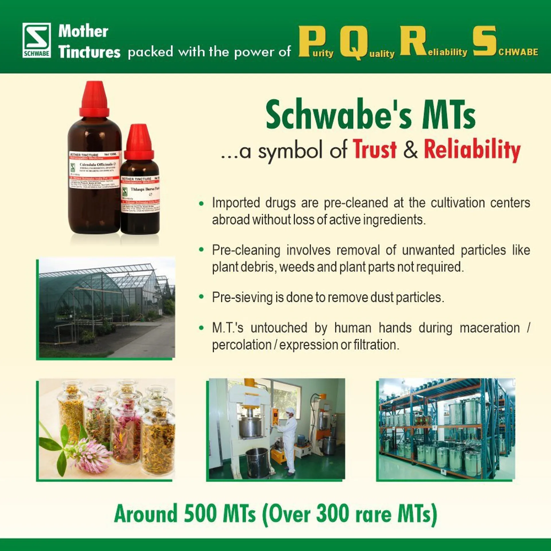 Dr. Willmar Schwabe India Acidum Phosphoricum Mother Tincture Q | Homeopathic Remedy | Mental & Physical Exhaustion Support-3