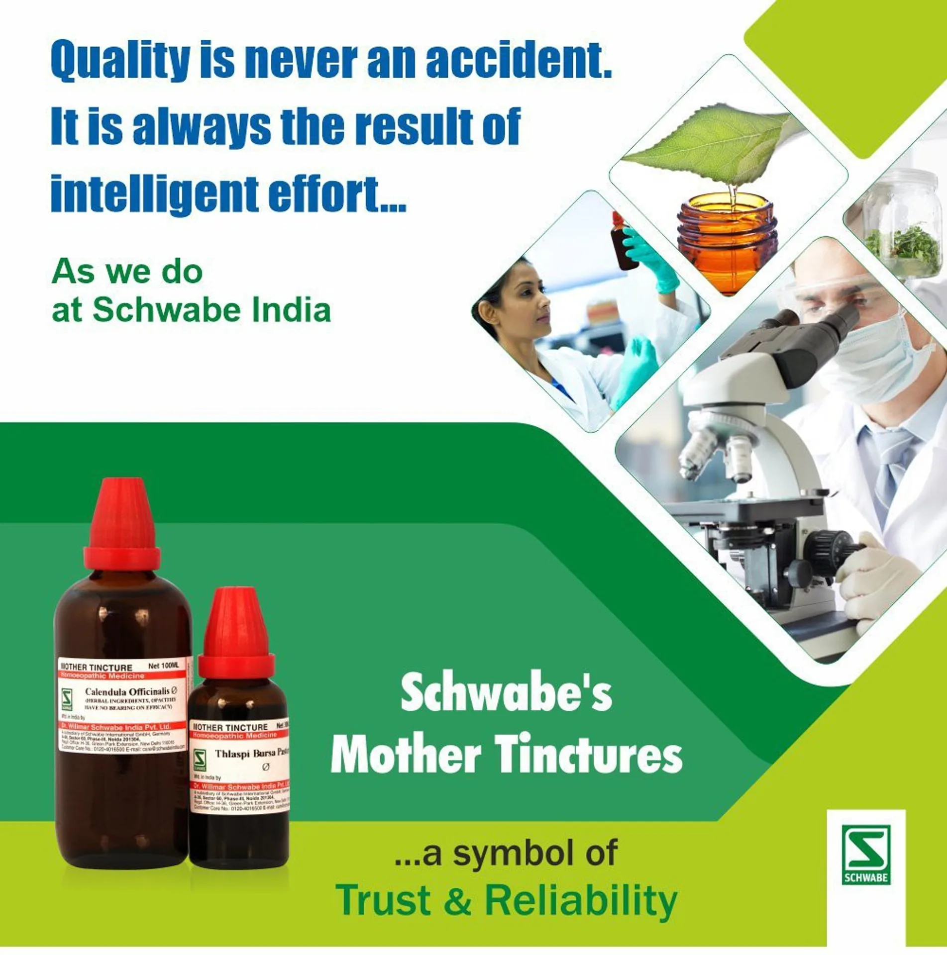 Dr. Willmar Schwabe India Acidum Phosphoricum Mother Tincture Q | Homeopathic Remedy | Mental & Physical Exhaustion Support-4