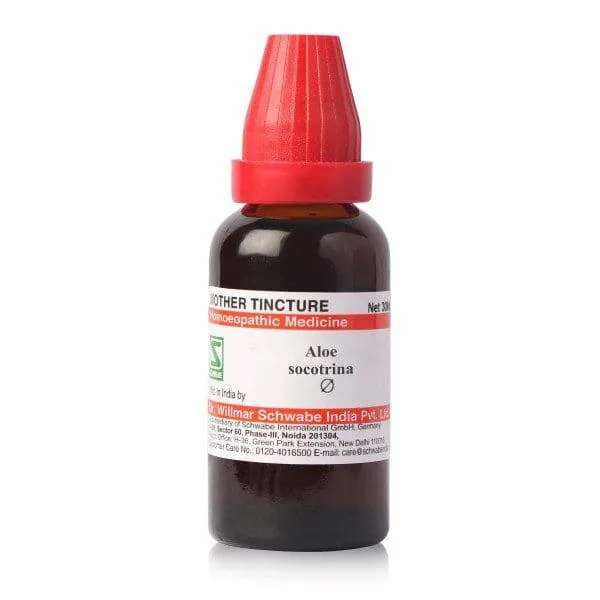 Dr. Willmar Schwabe India Aloe Socotrina Mother Tincture Q | Homeopathic Digestive Support | Natural Fatigue Relief