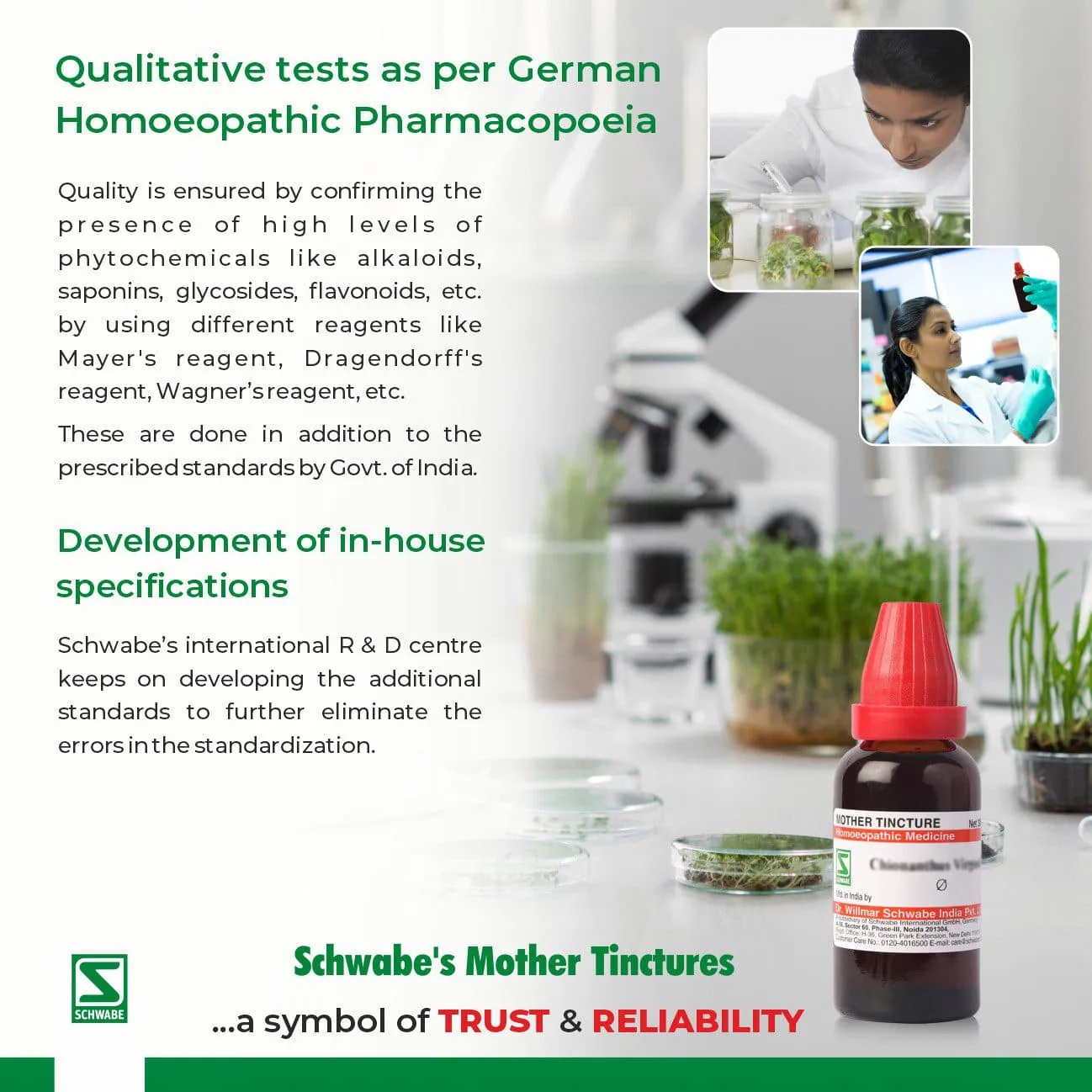 Dr. Willmar Schwabe India Aloe Socotrina Mother Tincture Q | Homeopathic Digestive Support | Natural Fatigue Relief-2