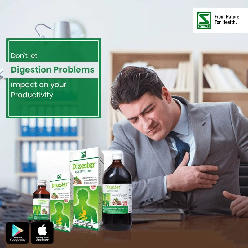 Dr. Willmar Schwabe India Dizester Herbal Digestive Tonic | Sugar-Free Homeopathic Syrup | Natural Acidity & Bloating Relief-5