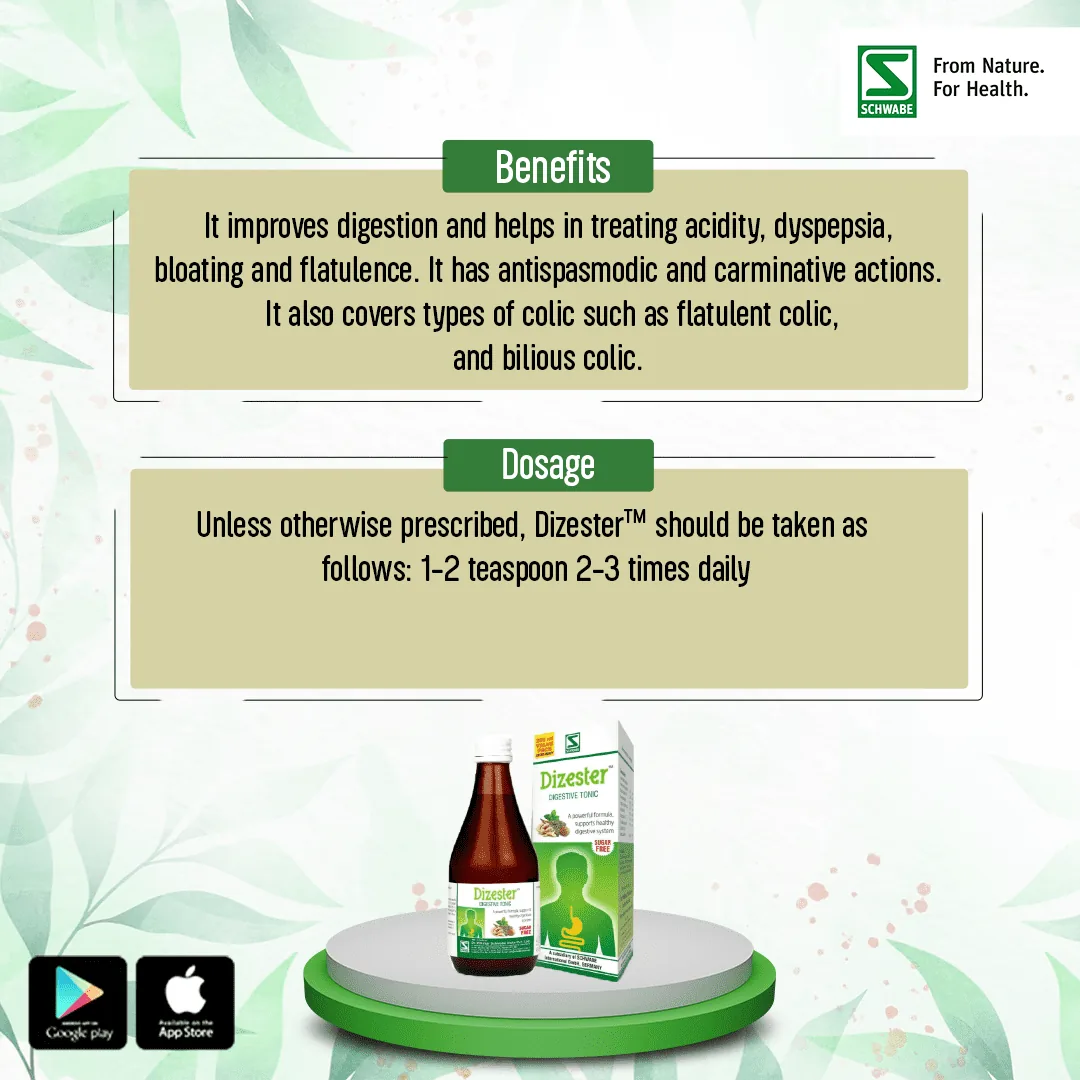 Dr. Willmar Schwabe India Dizester Herbal Digestive Tonic | Sugar-Free Homeopathic Syrup | Natural Acidity & Bloating Relief-7