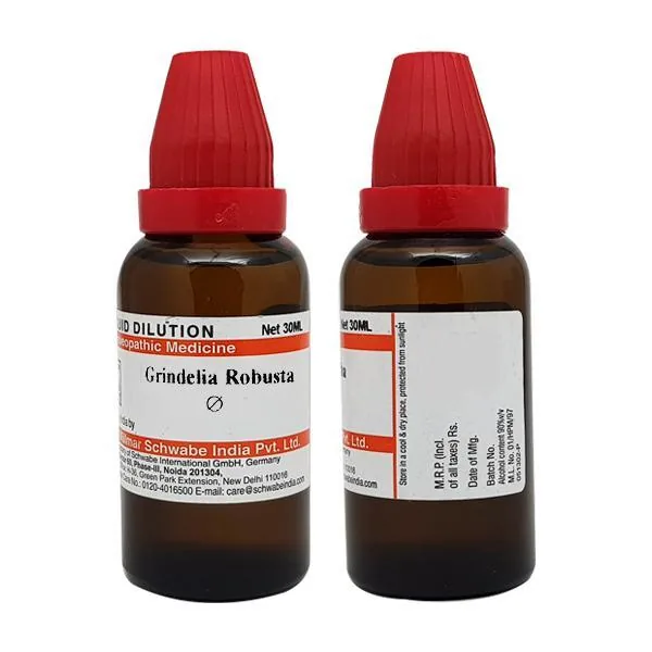 Dr. Willmar Schwabe India Grindelia Robusta Mother Tincture Q | Homeopathic Respiratory & Skin Support | Natural Herbal Drops-2