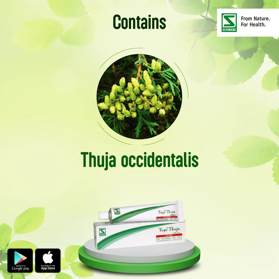 Dr. Willmar Schwabe India Topi Thuja Cream | Homeopathic Wart Care | Natural Relief for Skin Outgrowths-4