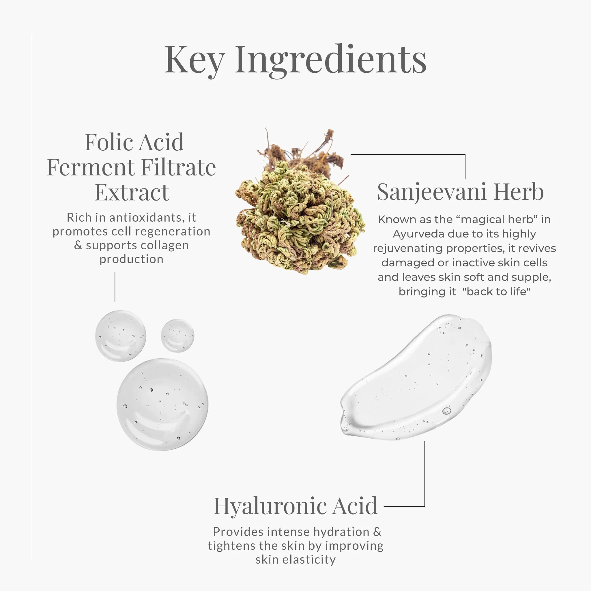Forest Essentials Advanced Sanjeevani Beauty Elixir | Ayurvedic Pre-Moisturizer Gel | Skin Plumping & Priming Formula-5