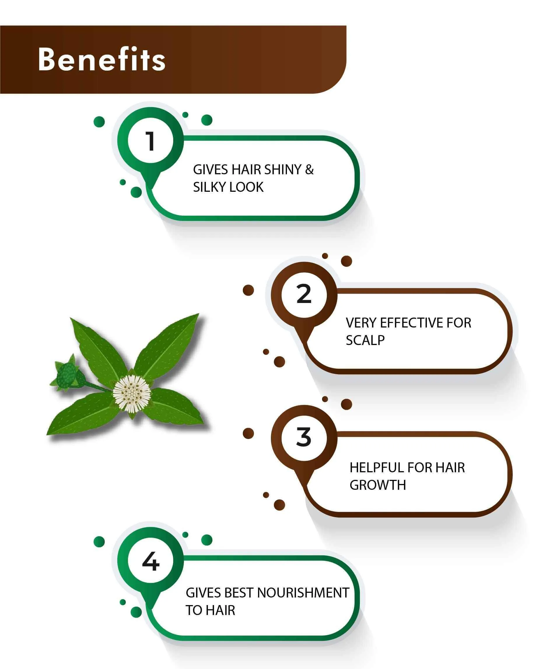 H&C Herbal Bhringraj Tablets | Ayurvedic Hair & Scalp Supplement | Natural Liver Support-4