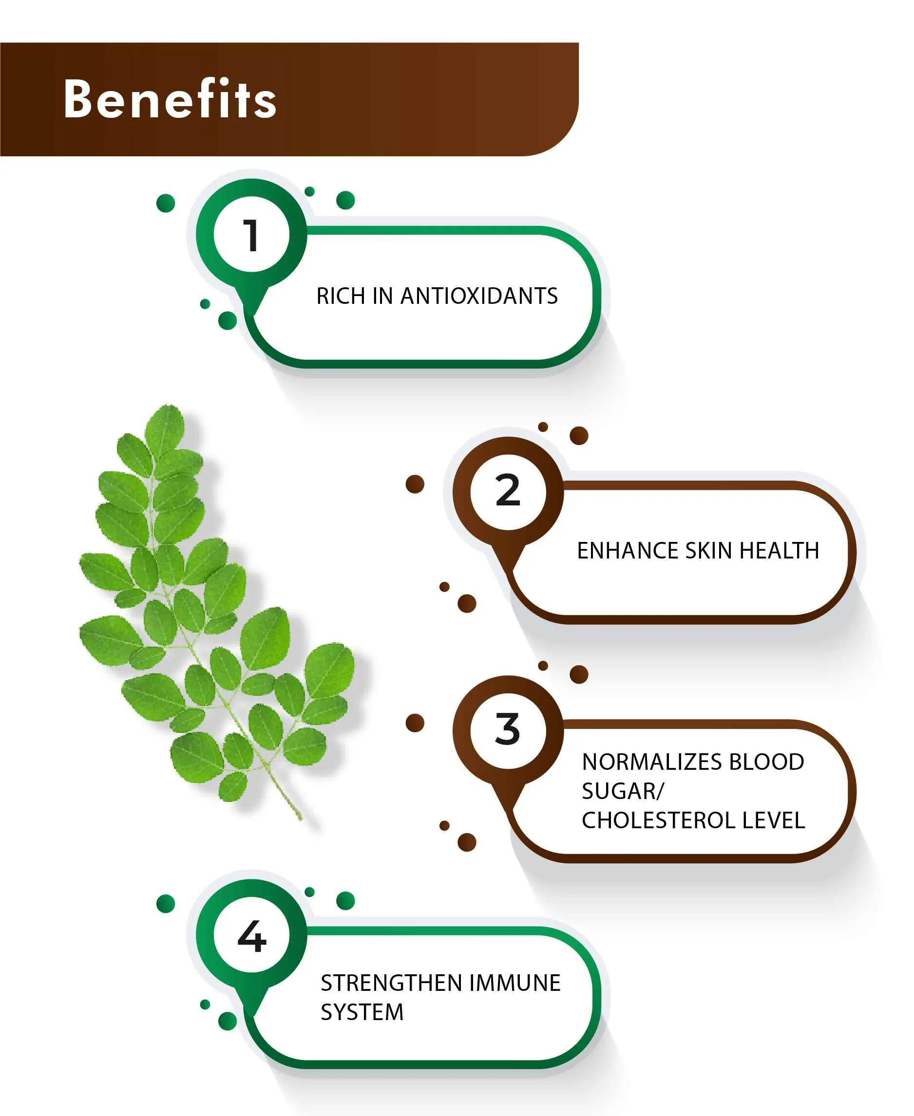 H&C Herbal Moringa Tablets | Pure Moringa Oleifera | Natural Daily Wellness Supplement-4