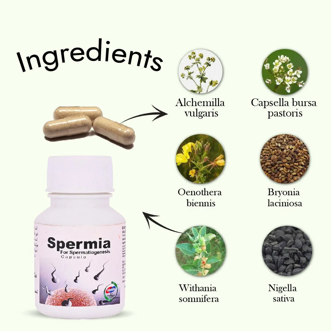 Hashmi Spermia Capsules | Natural Men's Vitality Supplement | Supports Energy and Physical Strength-3