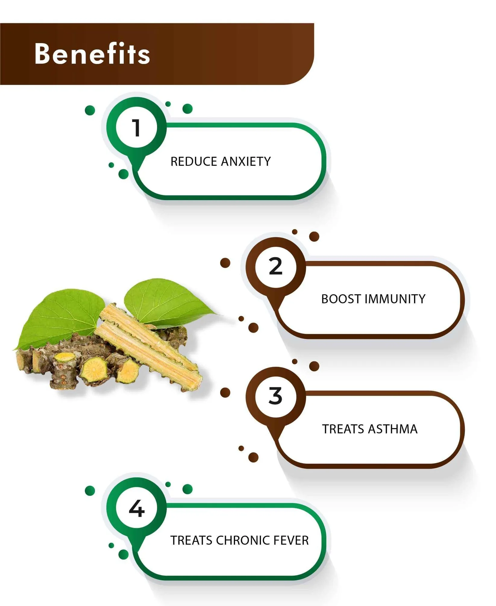 H&C Herbal Guduchi Powder | Pure Giloy Stem Powder | Natural Ayurvedic Adaptogen-3