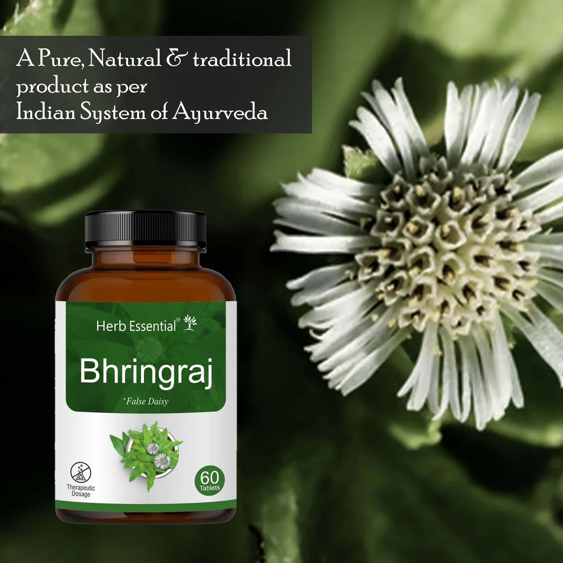 Herb Essential Bhringraj Tablets | Ayurvedic Herbal Supplement | Hair and Vitality Support-5