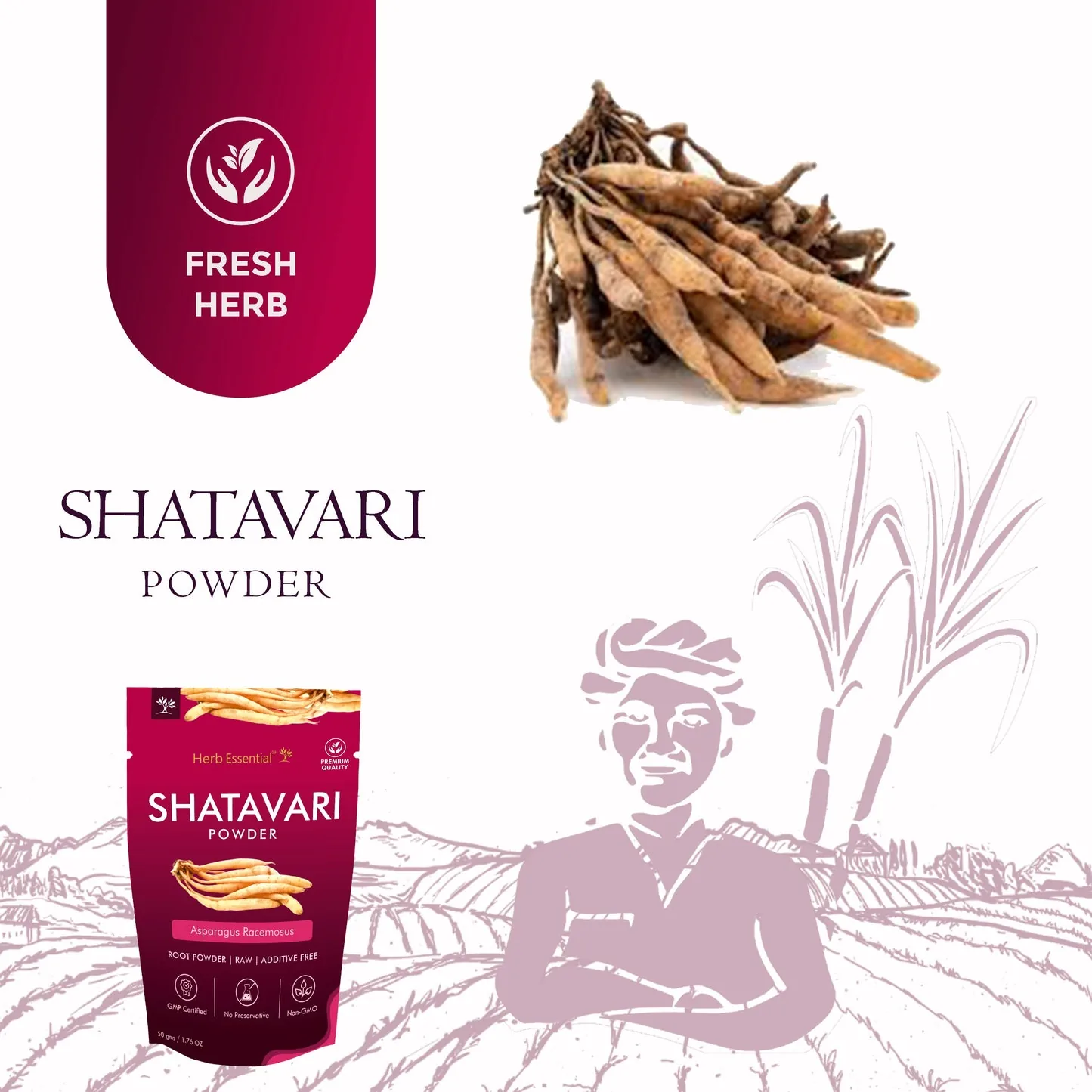 Herb Essential Shatavari Powder | Pure Asparagus Racemosus Root Extract | Ayurvedic Women's Wellness Supplement-4