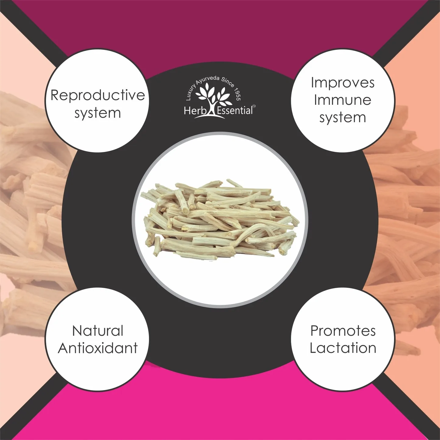 Herb Essential Shatavari Powder | Pure Asparagus Racemosus Root Extract | Ayurvedic Women's Wellness Supplement-5
