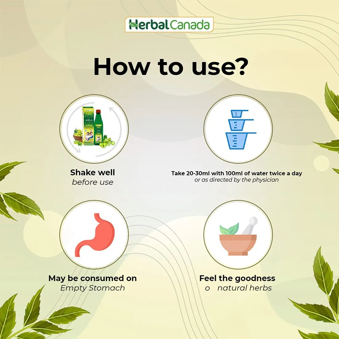 Herbal Canada Amla Ras | Ayurvedic Gooseberry Juice | Sugar-Free Immunity & Vitality Booster-2