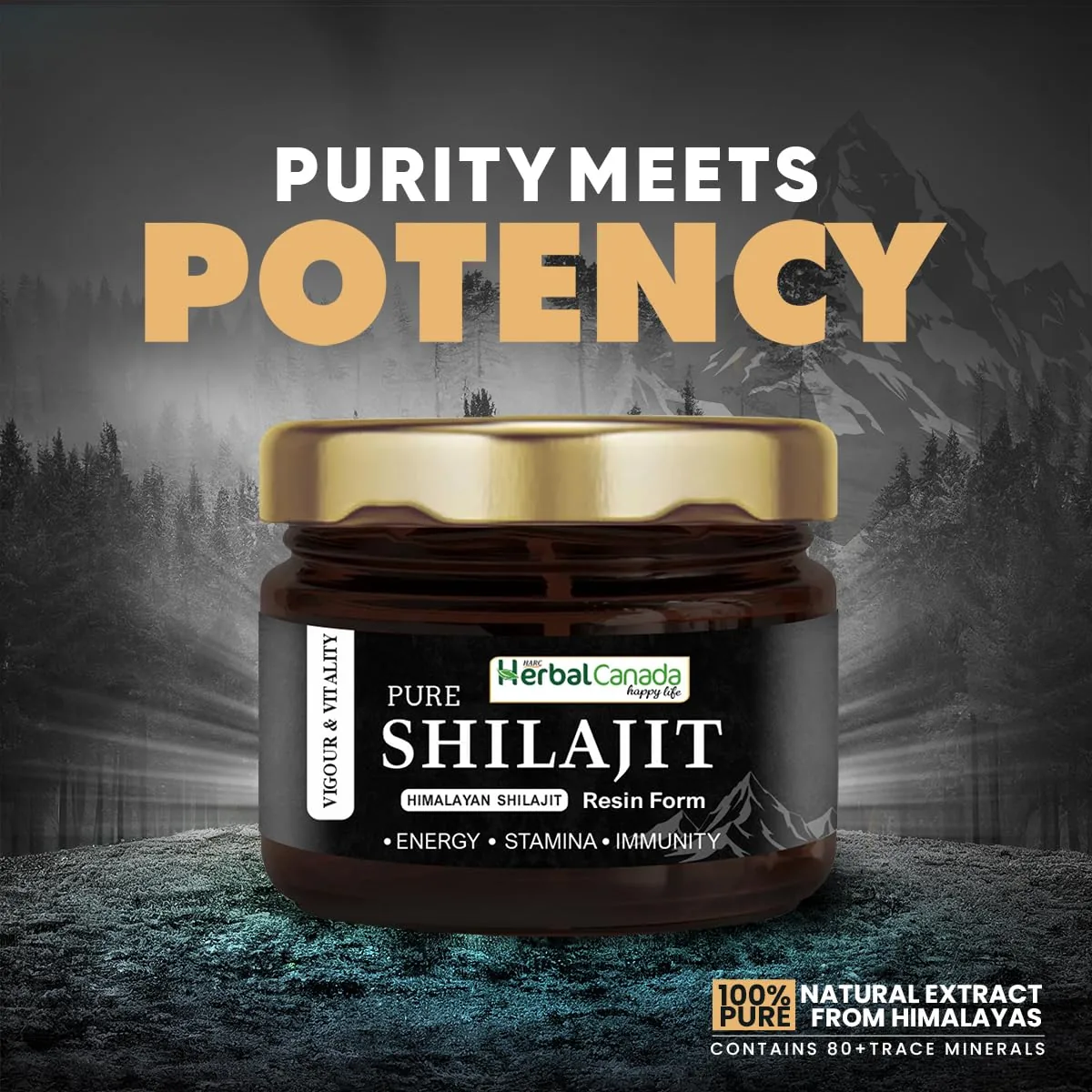 Herbal Canada Pure Himalayan SJ Resin | Authentic Ayurvedic Shilajit | Natural Stamina & Vitality Support-4