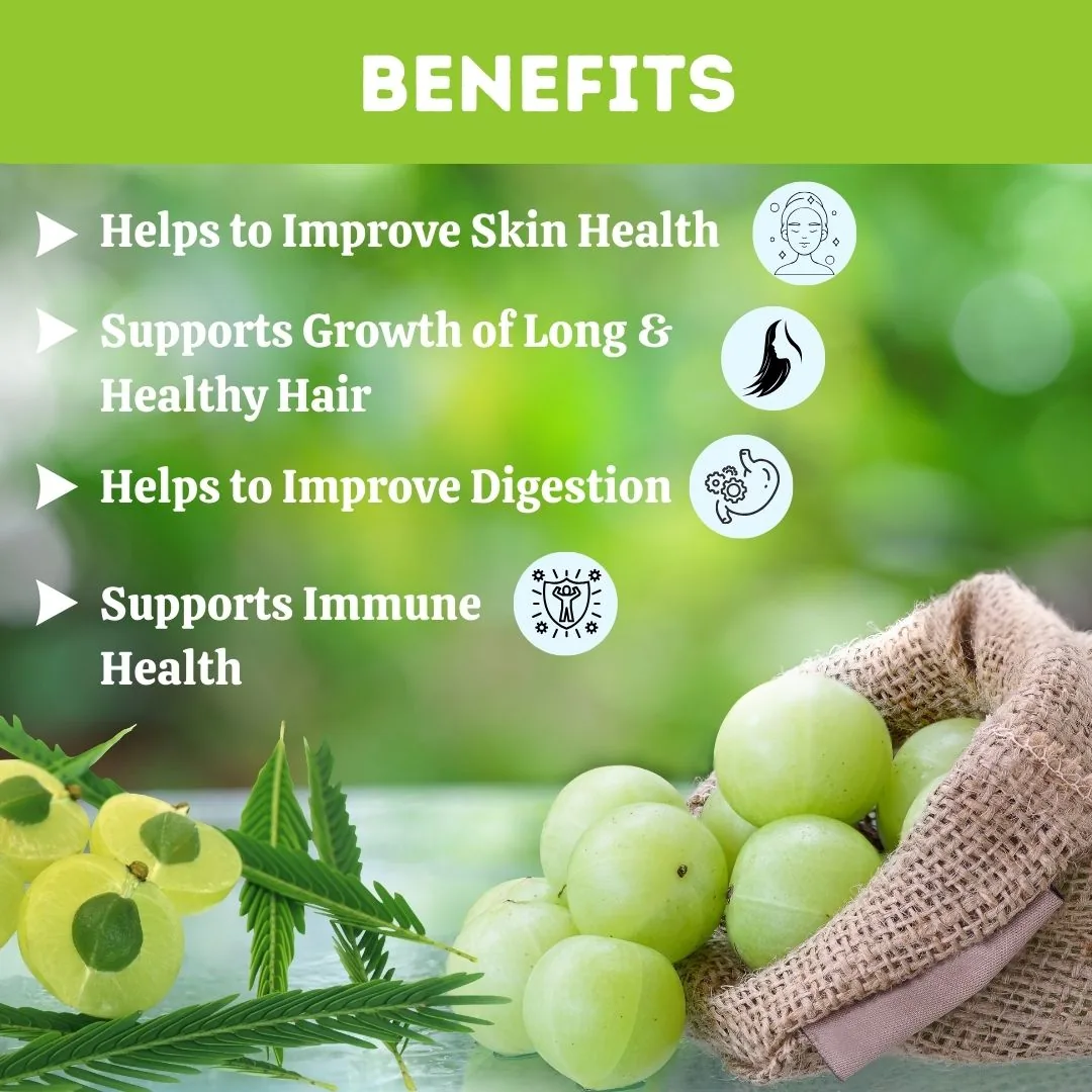 Herbal Hills Organic Amla Powder | Pure Indian Gooseberry | Natural Immunity & Hair Support-5