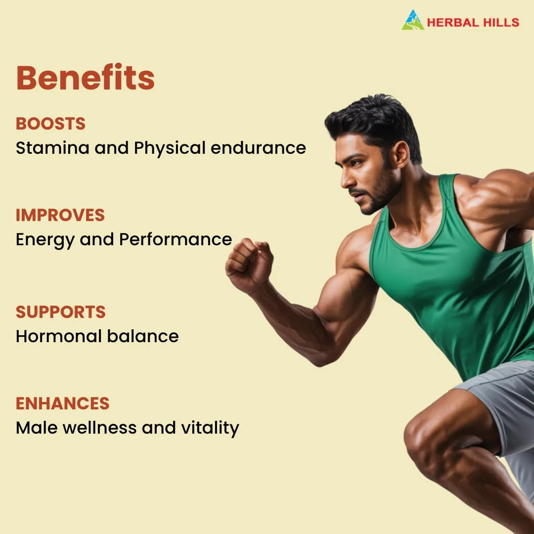 Herbal Hills Shilajithills Forte Vitality Support Capsules | Ayurvedic Men's Health Supplement | Stamina & Stress Relief-2