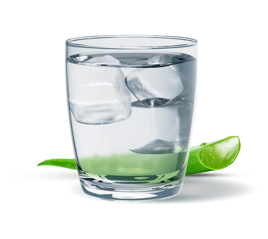 Herbalife Herbal Aloe Concentrate Unflavoured-2