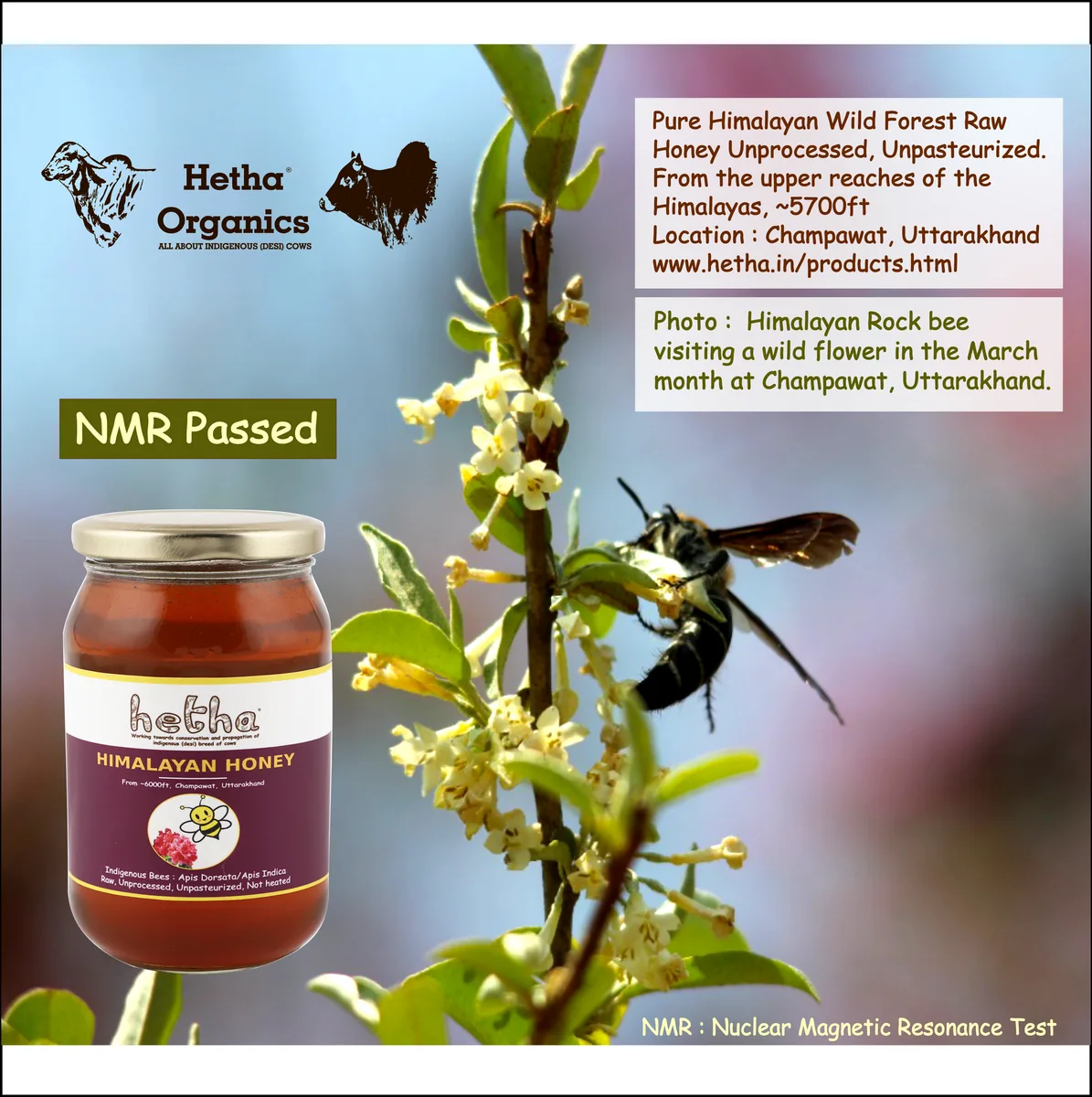 Hetha Pure Himalayan Wild Forest Raw Honey - NMR Passed | Unprocessed | Unpasteurized-5