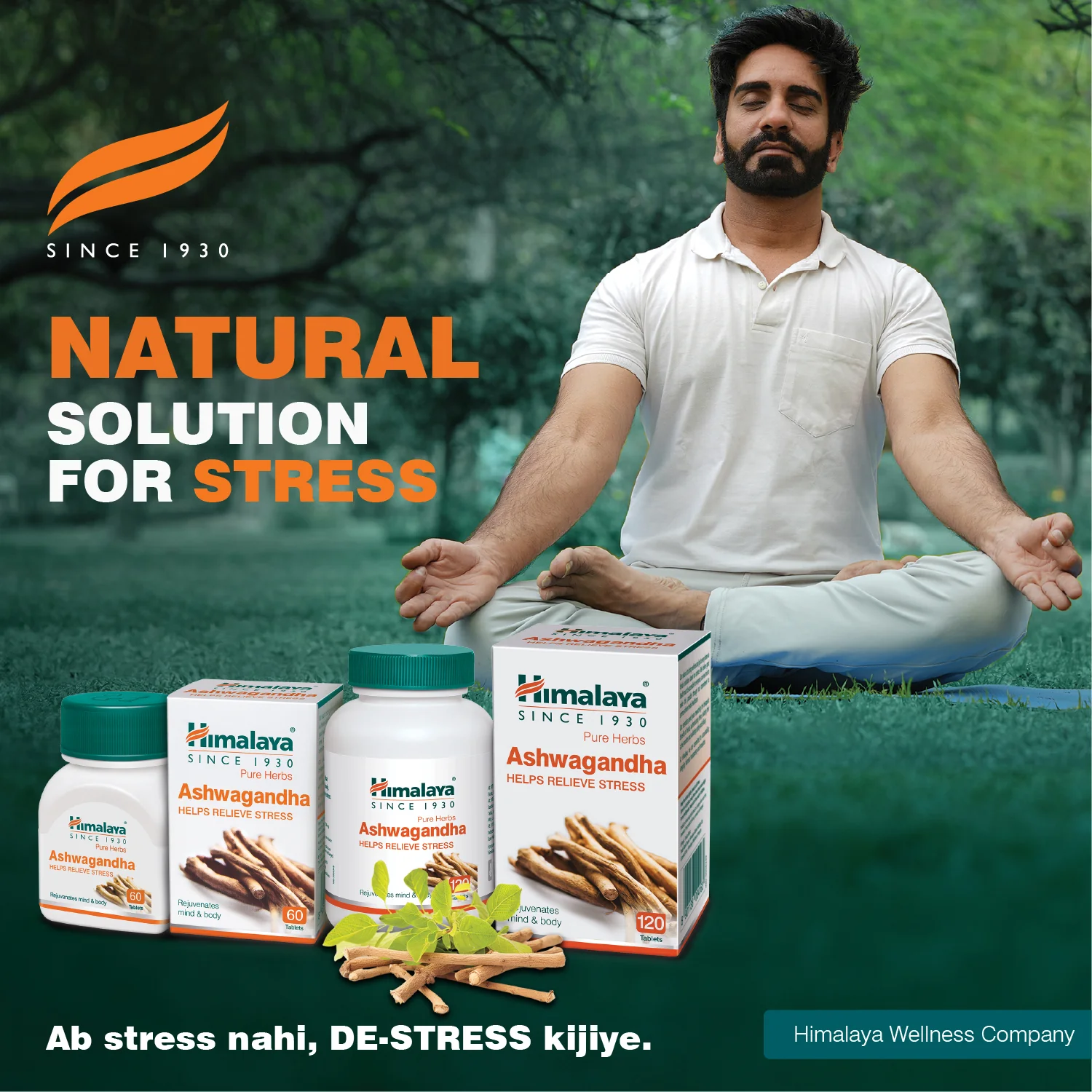 Himalaya Ashvagandha Tablets | Herbal Wellness Supplement | Natural Stress Relief & Immunity Support-5