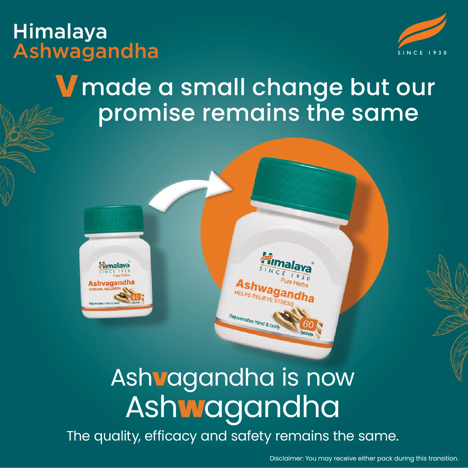 Himalaya Ashvagandha Tablets | Herbal Wellness Supplement | Natural Stress Relief & Immunity Support-7