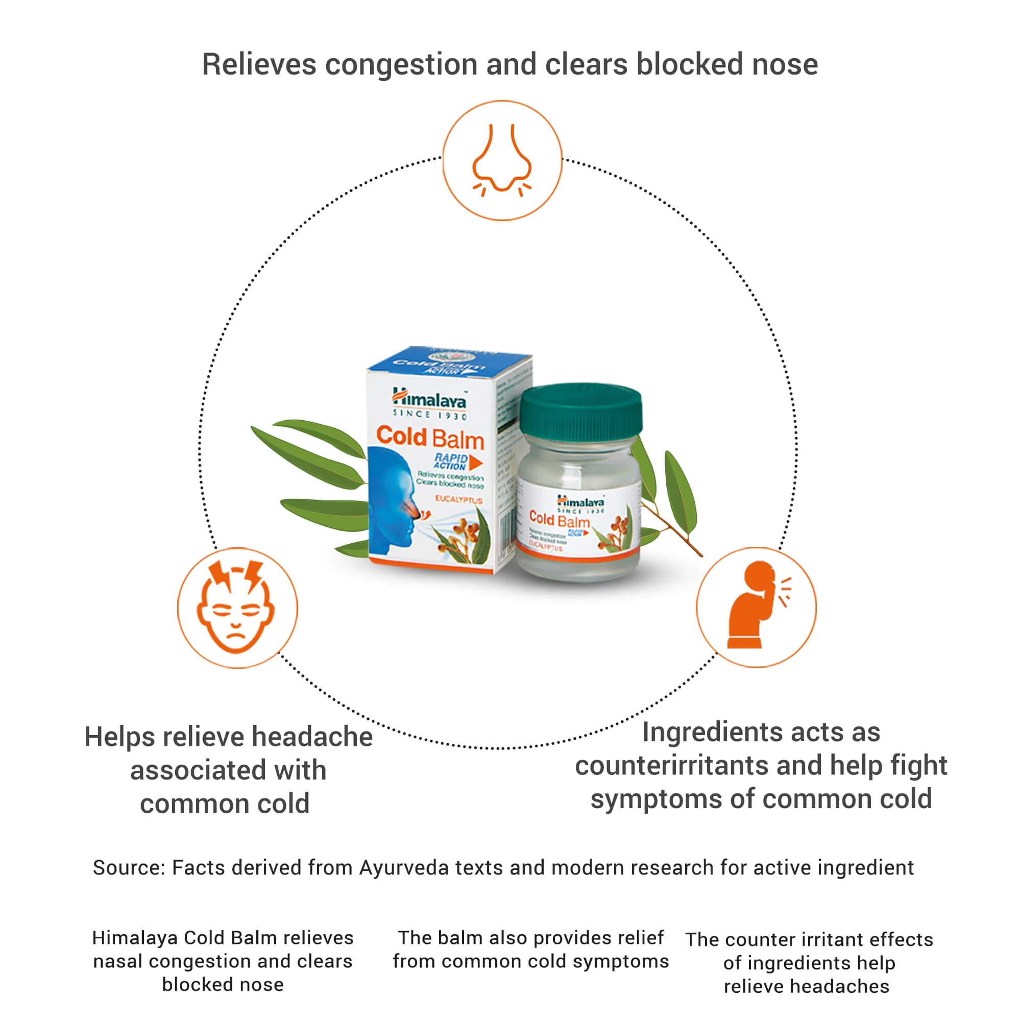 Himalaya Wellness Cold Balm Rapid Action | Herbal Congestion & Headache Relief-3