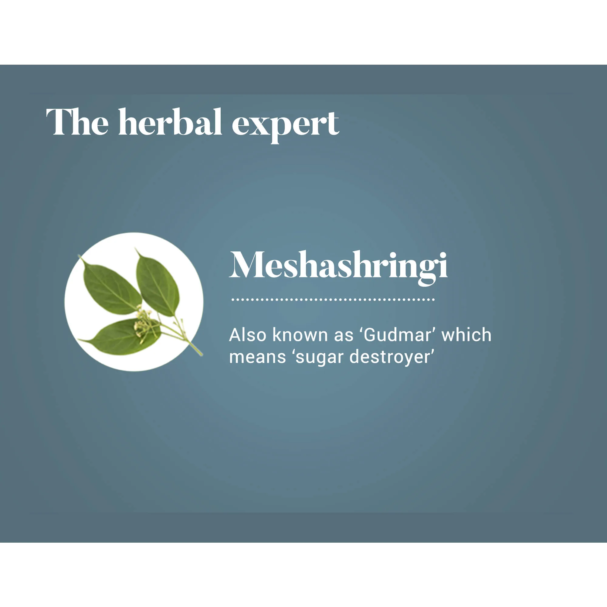 Himalaya Herbals Meshashringi Tablets | Ayurvedic Metabolic Wellness Supplement | Supports Healthy Blood Sugar and Regulates Carbohydrate Metabolism-4